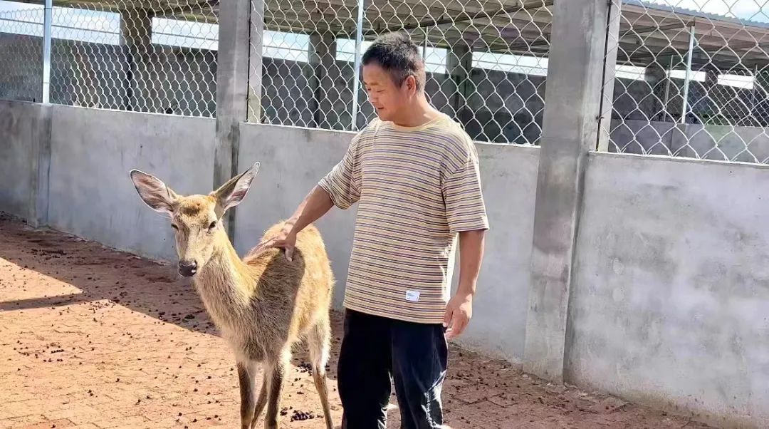 斗牛牛下载单机
